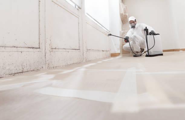 24/7 Emergency Attic Mold Removal experts in DuPont, WA